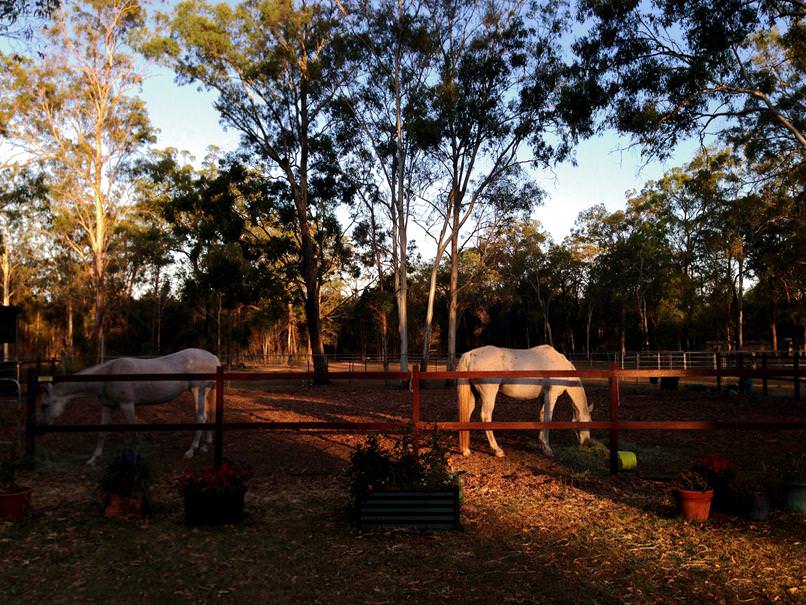 ProCamera ProFX Filter Example