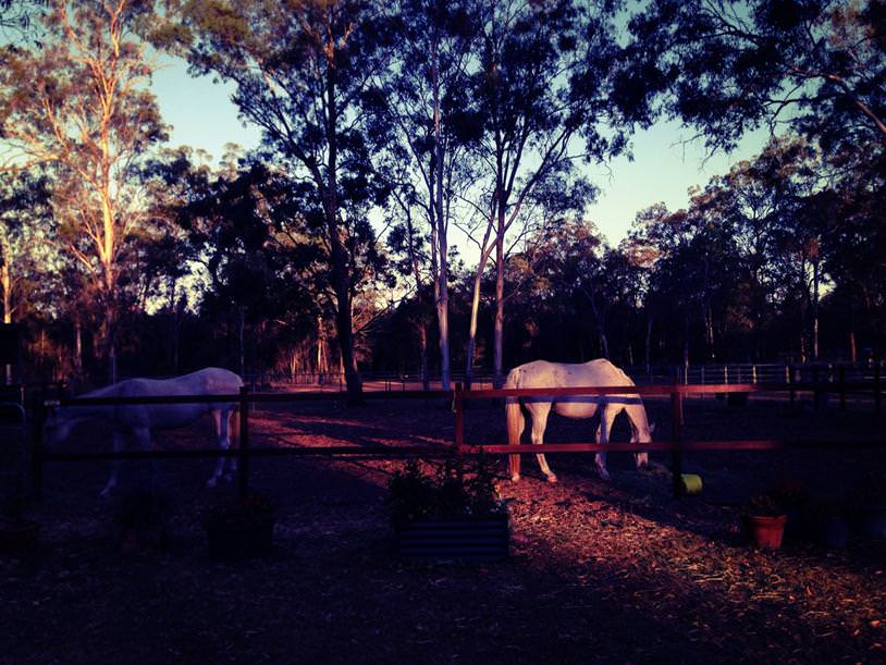 ProCamera ProFX Filter Example