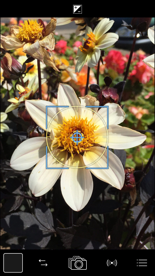 Focus & Exposure reticles open_bkgrnd copy