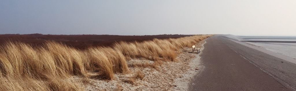 Shoot iOS DNG RAW photos on your iPhone with ProCamera