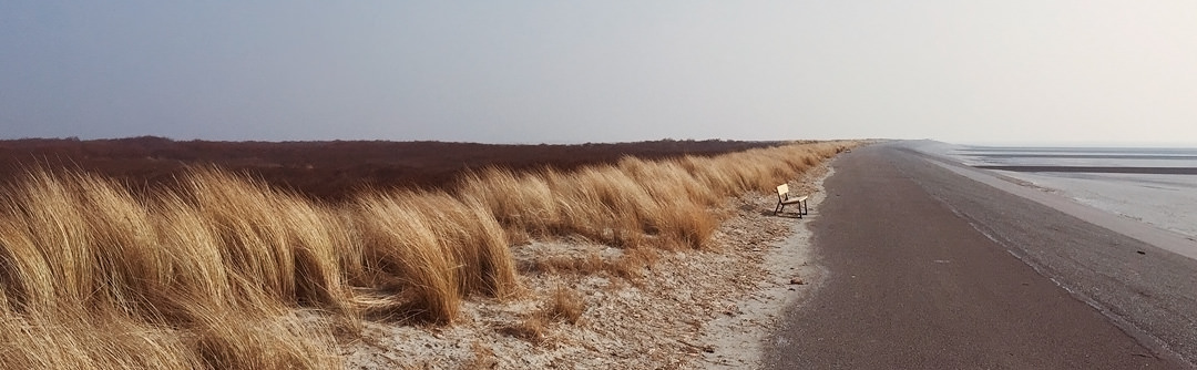 Shoot iOS DNG RAW photos on your iPhone with ProCamera