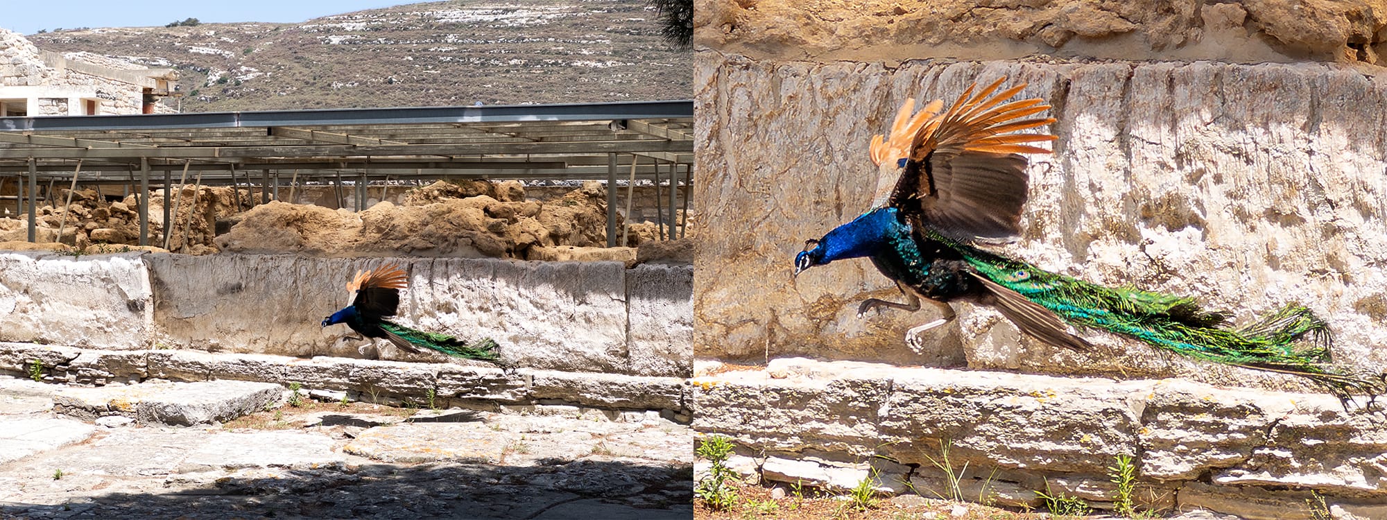 AI enhanced photo for more detail and texture