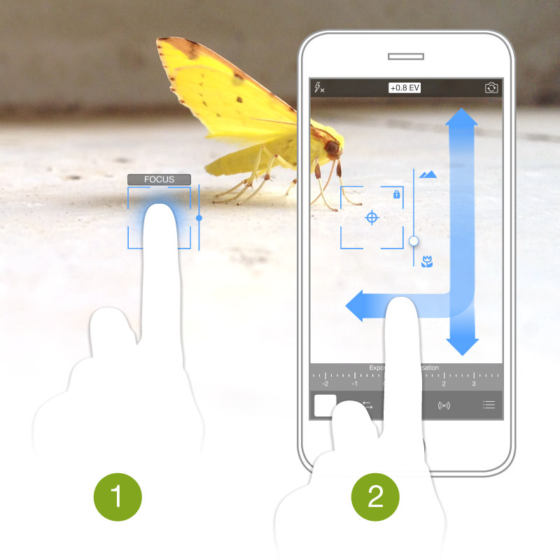 procamera8_61_blog-vis_focus800px