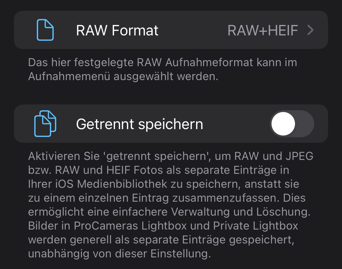 RAW und verarbeitete Version getrennt speichern