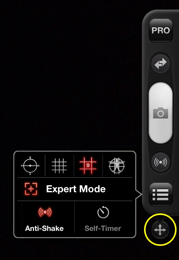 procamera HD, iPad photography, ipadography, shuttertrigger